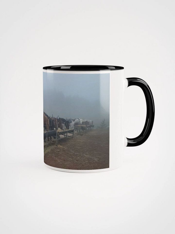 Jeju Island Unesco fog Korean horses resting product image (2)