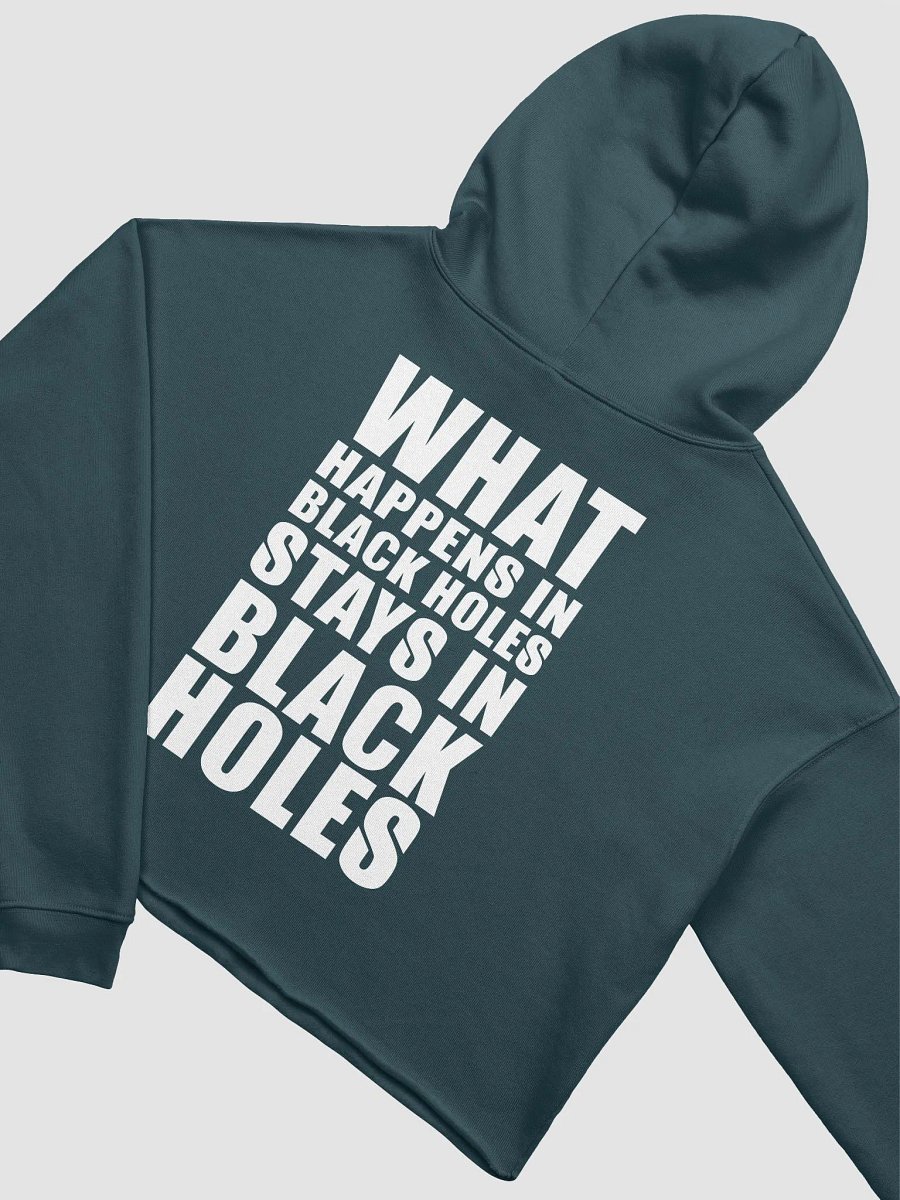 Black Holes Suck Hoodie product image (11)