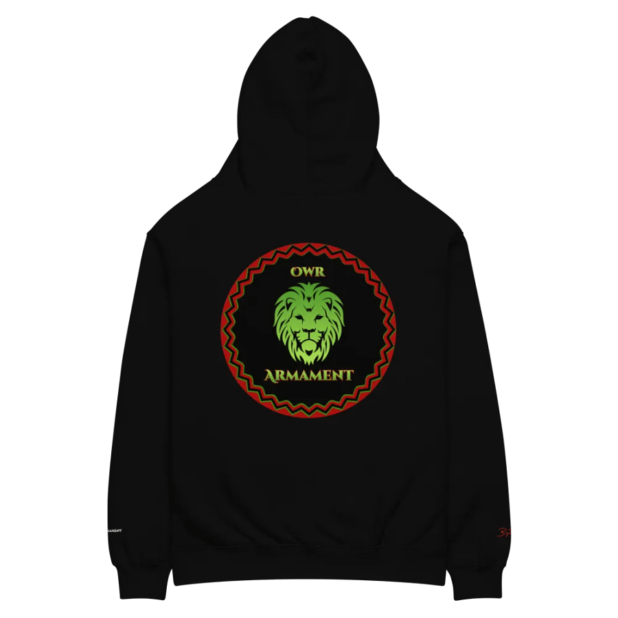 Owr Armament Oversized Hoodie product image (5)