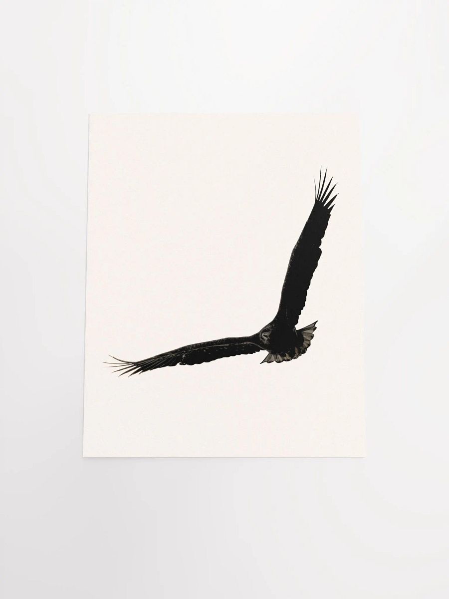 Flight of the Silhouette: Matte Poster Print product image (28)
