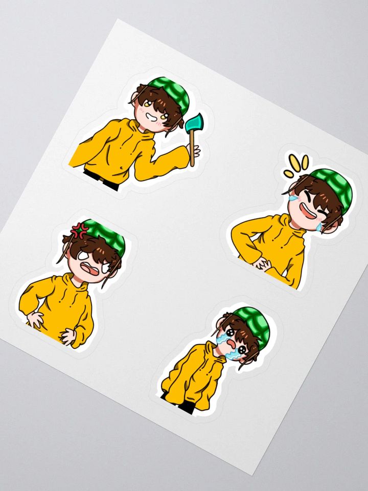 CLASSIC SALTYY STICKER PACK product image (4)