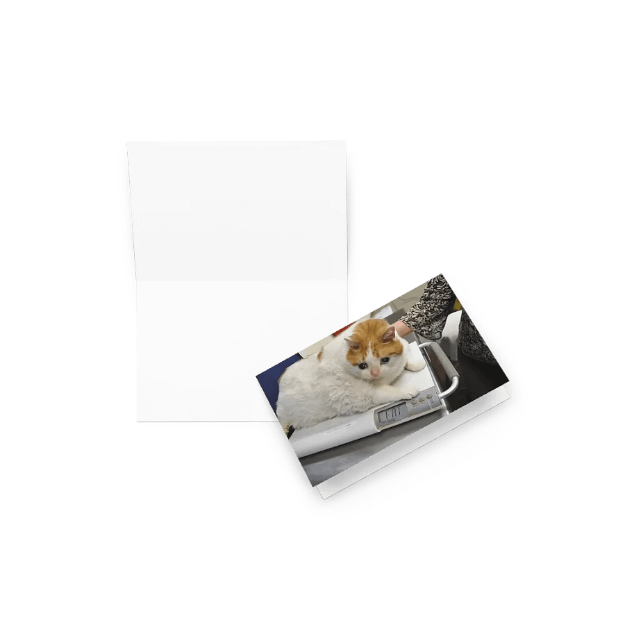 Greeting Card: Meme Cats product image (23)
