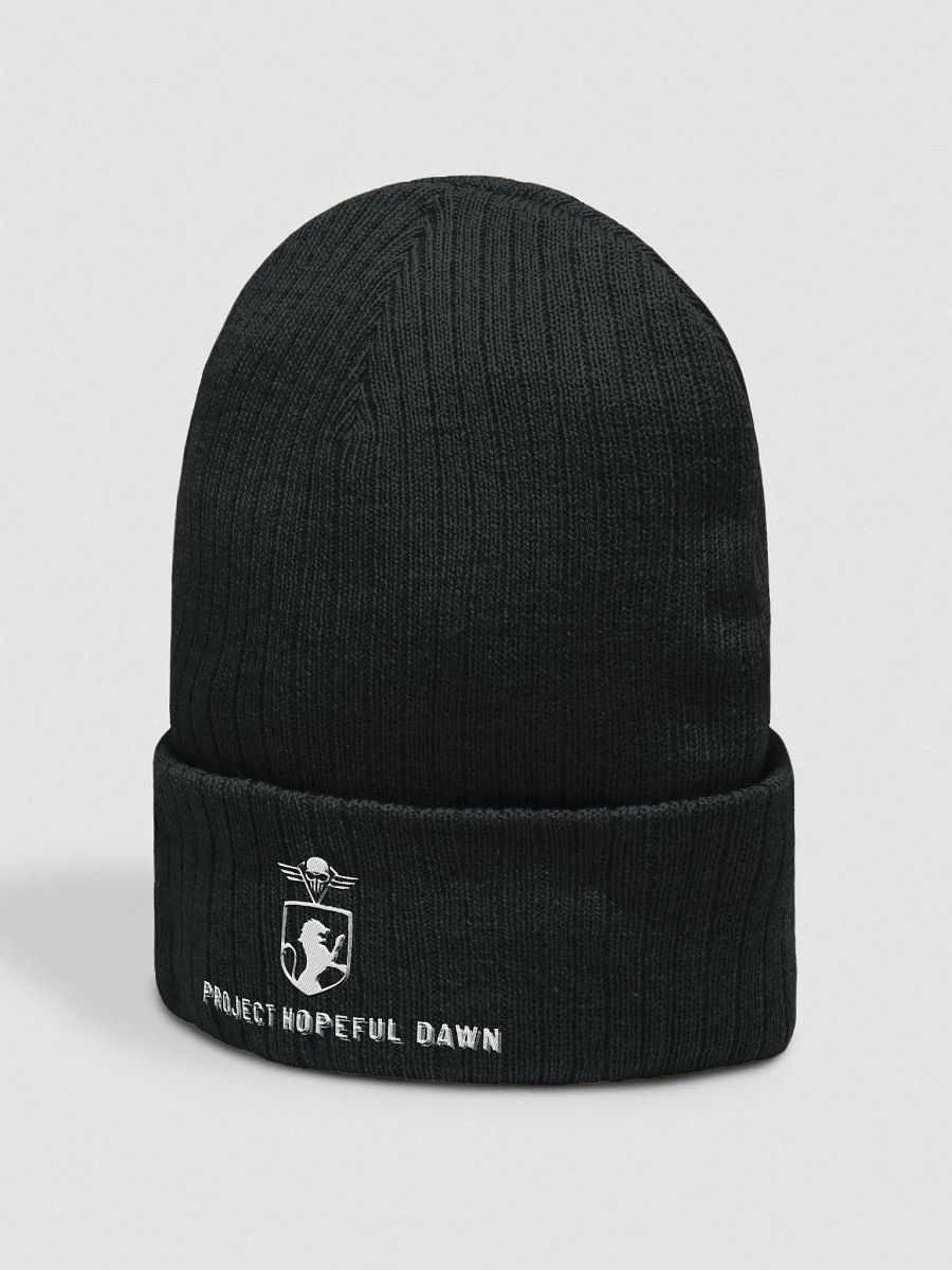 Hopeful Dawn Crowned Beanie GEN II product image (4)