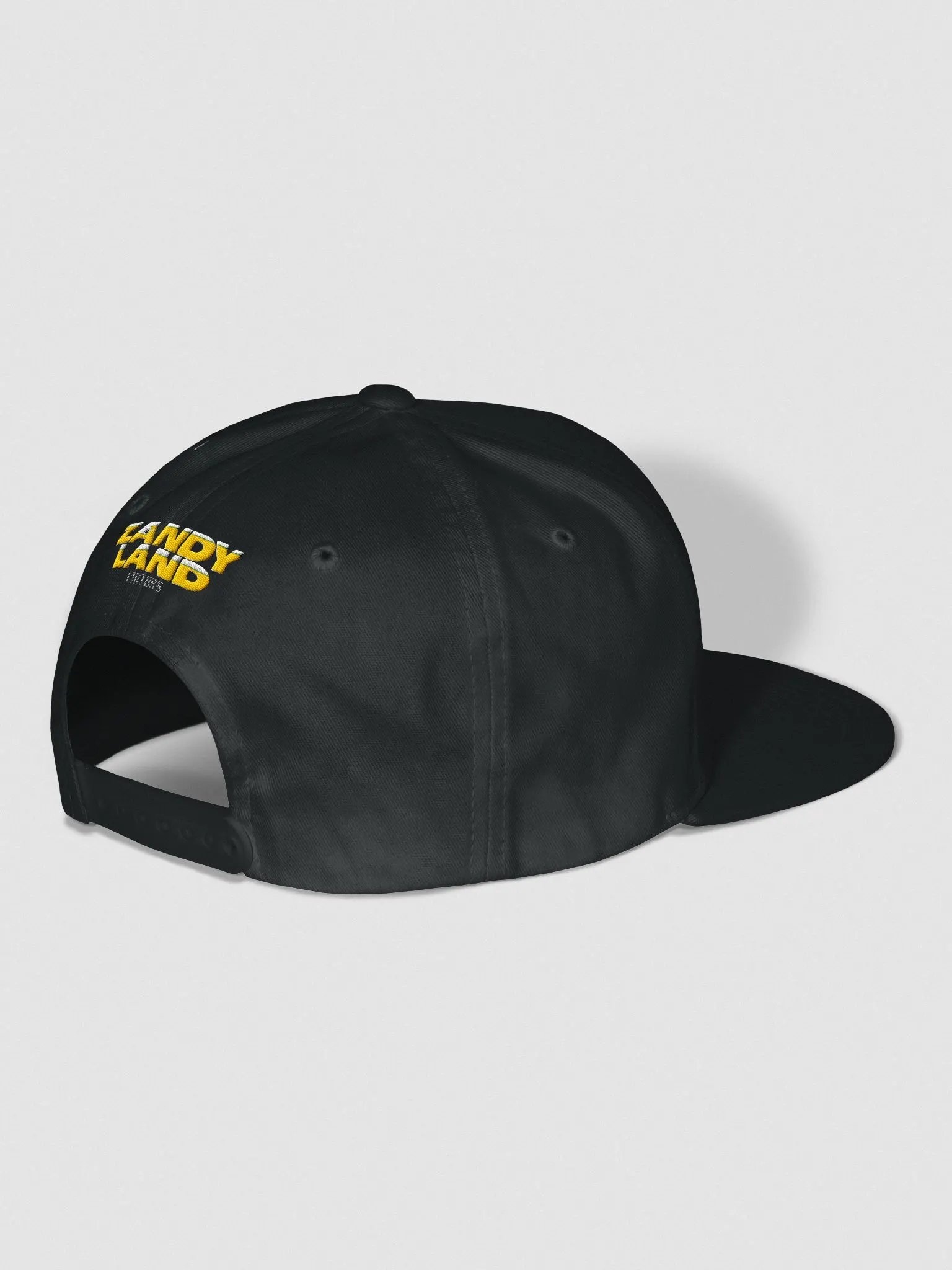 Zandyland Snapback product image (7)