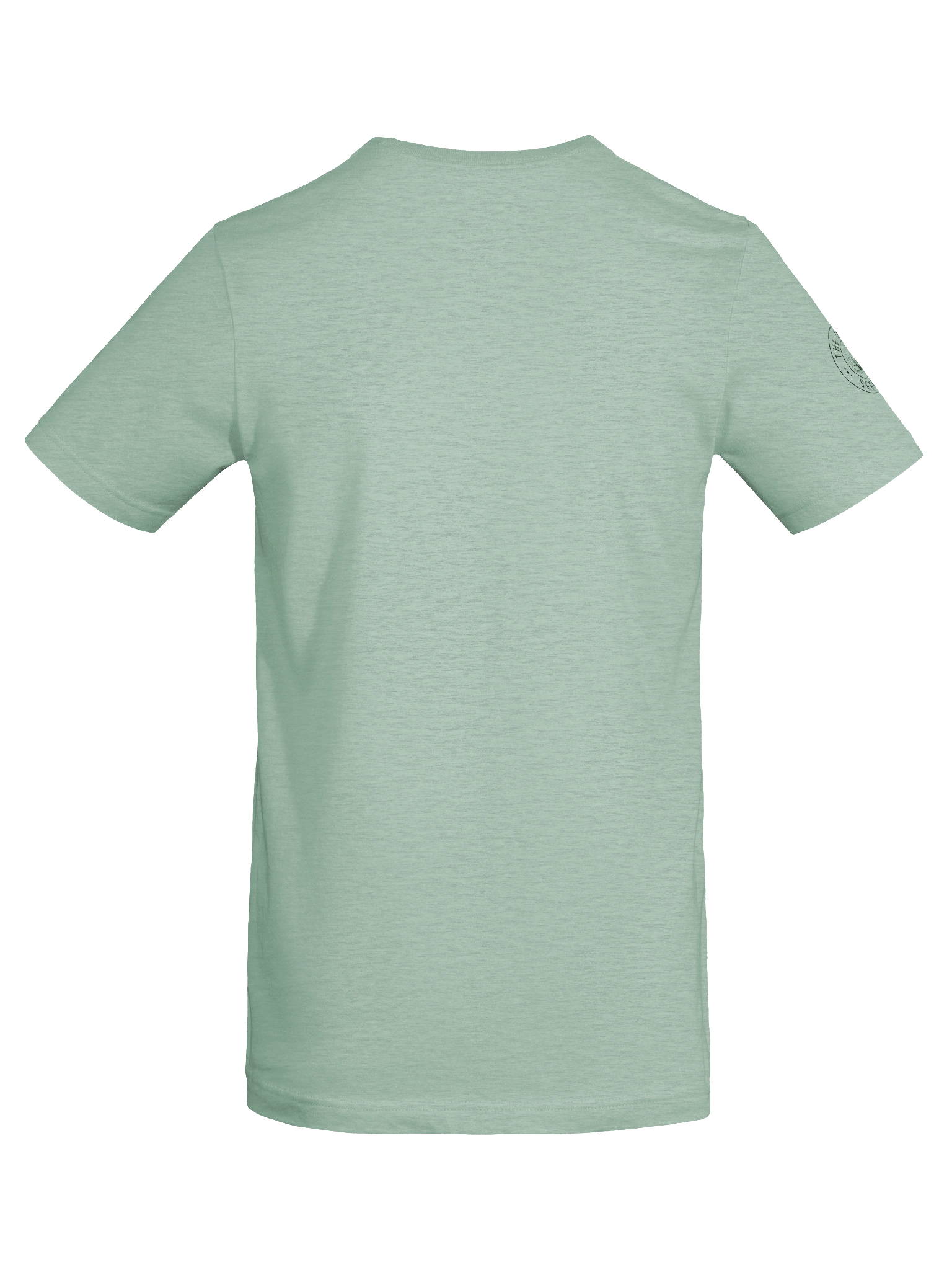 Lantern Sigil Tee - Bella+Canvas Supersoft (Women's) product image (8)