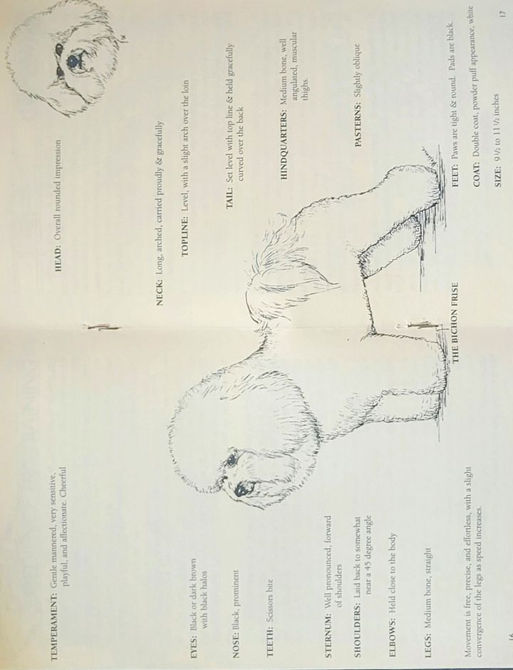 Booklet - Your Bichon Frise product image (2)