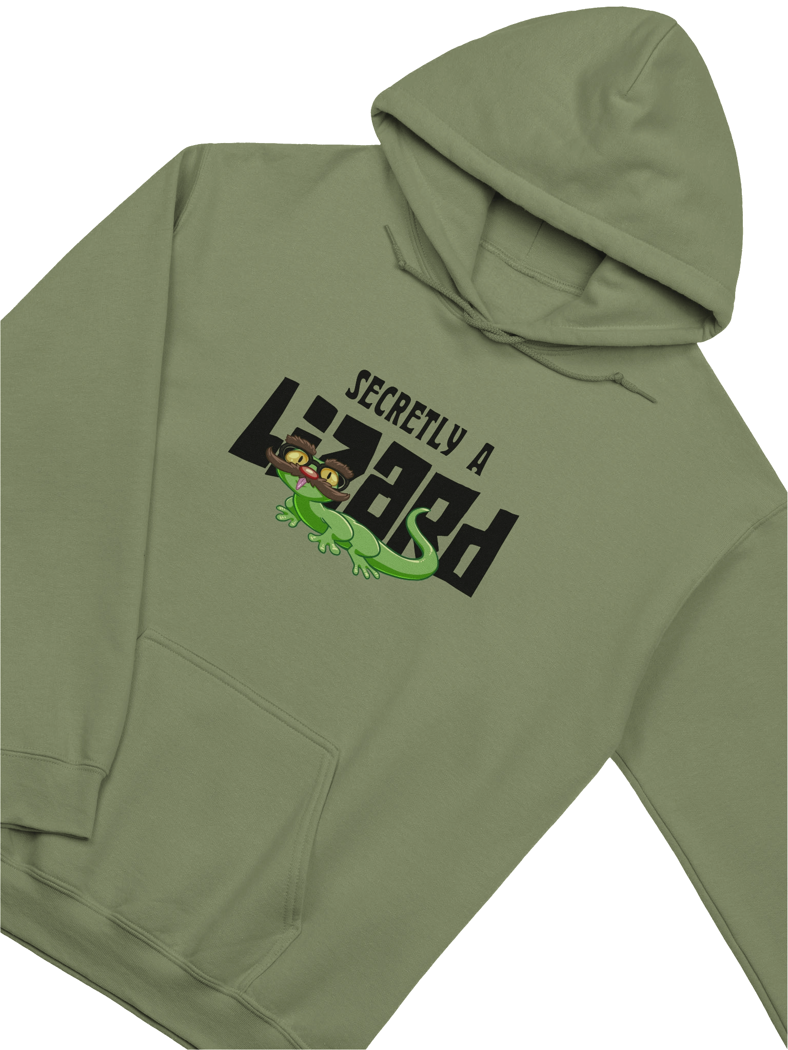 Secretly a Lizard : Pullover Hoodie product image (8)