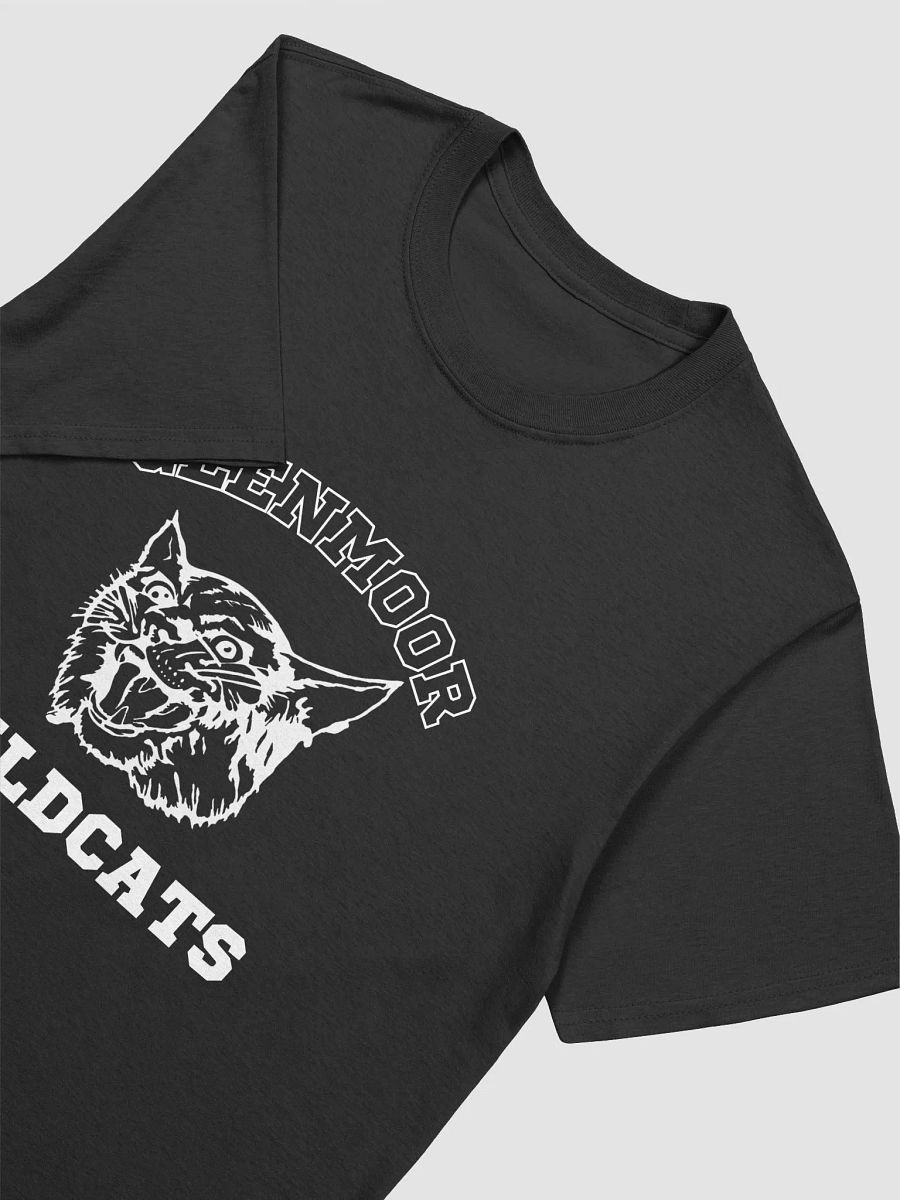 Black | Adult Gildan Unisex Softstyle T-Shirt product image (3)