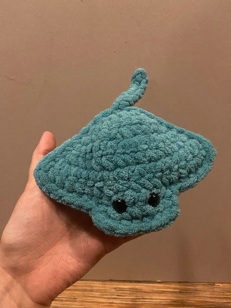 Manta Ray product image (2)