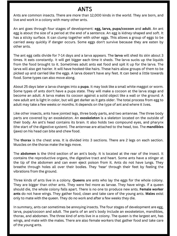 Ants Reading Comprehension Worksheet product image (2)