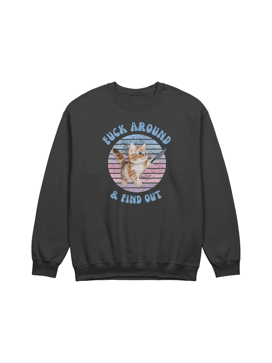 Fuck Around And Find Out Sweatshirt product image (1)