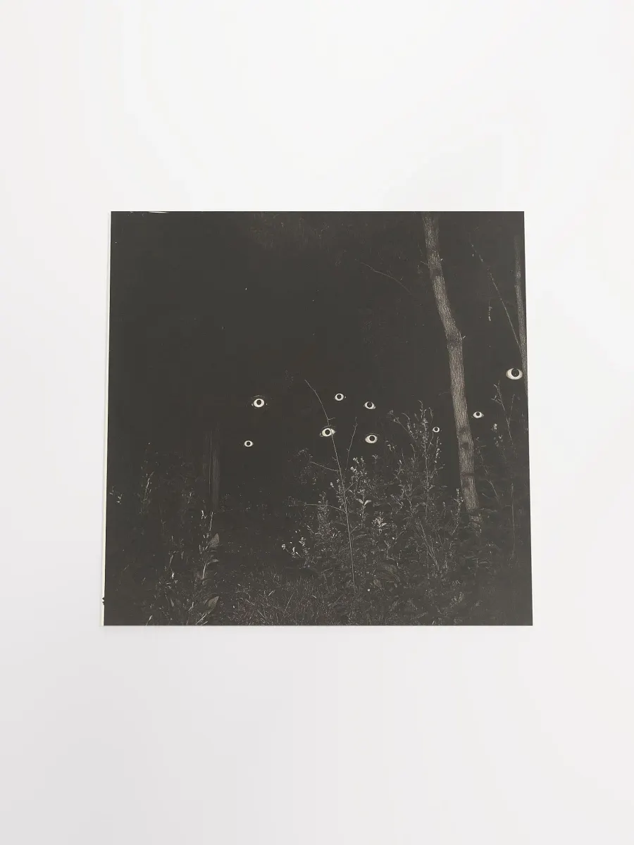 Night Watch product image (16)