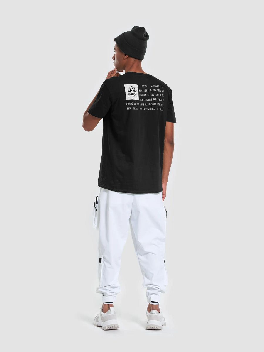 The Pledge product image (7)