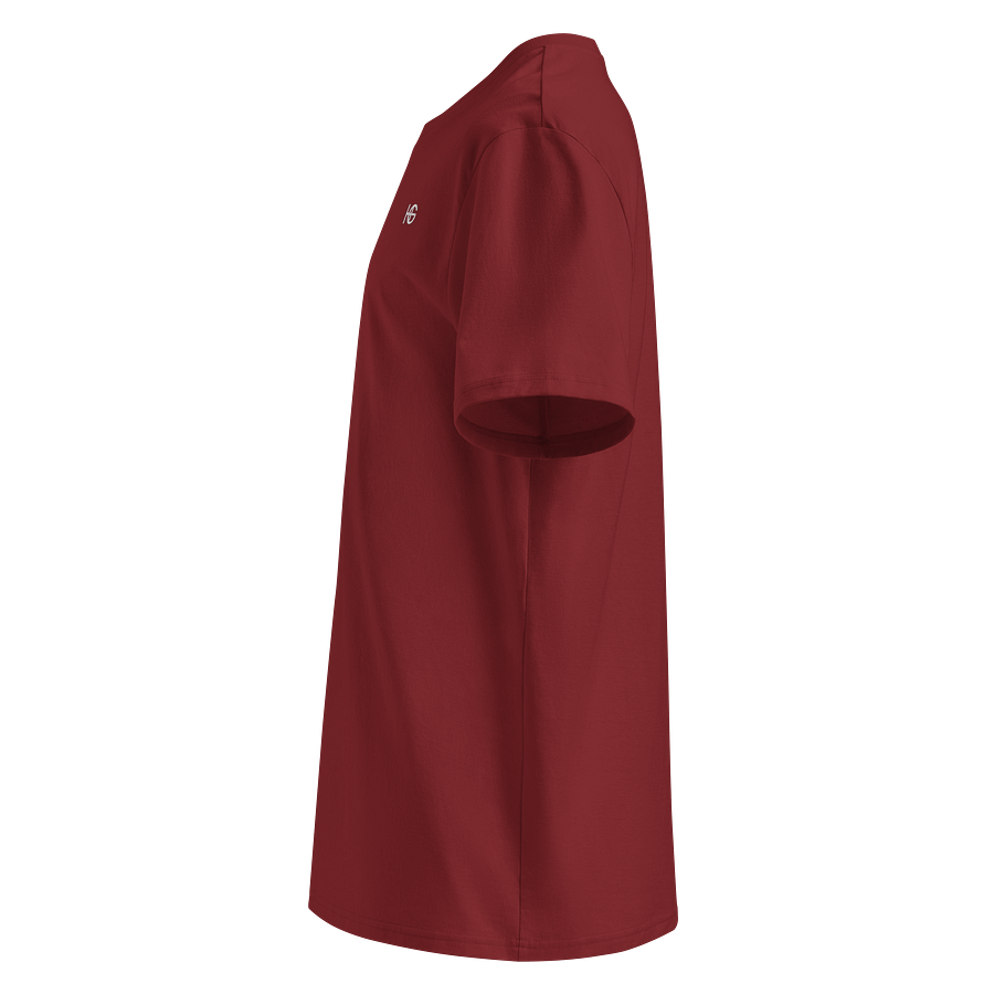 Basic Series | Organic Tee | Burgundy product image (2)