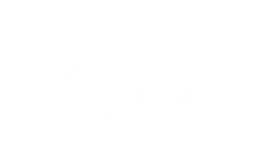 Heidi