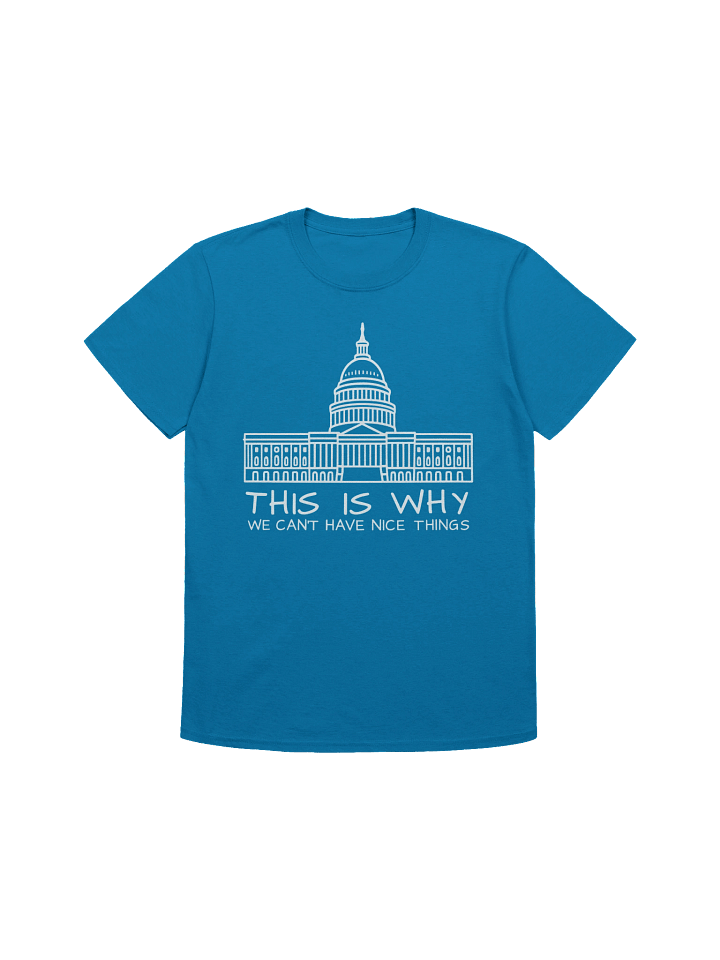 This Is Why We Can’t Have Nice Things T-Shirt product image (1)