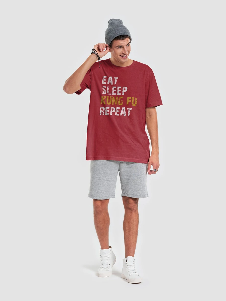 Eat Sleep Kung Fu Repeat - T-Shirt product image (17)