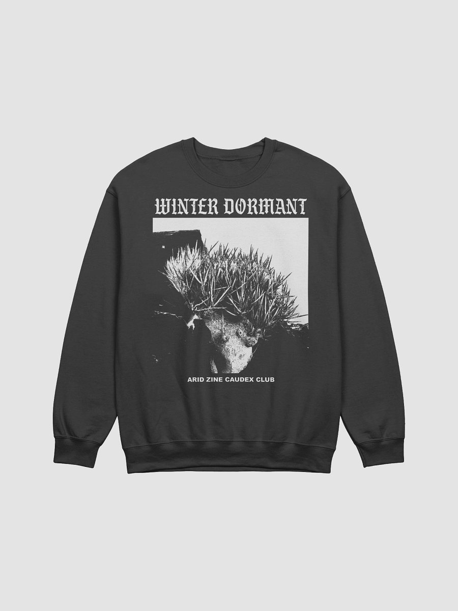 Winter Dormant jumper (Adenia pechuelii) product image (1)