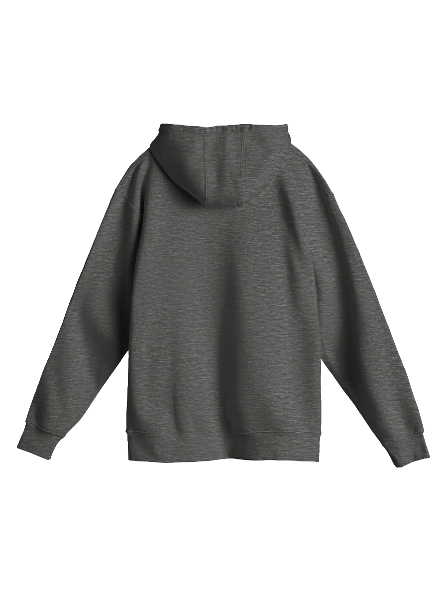 EXTRAORDINAIRE IMMIGRANT HOODIE product image (10)