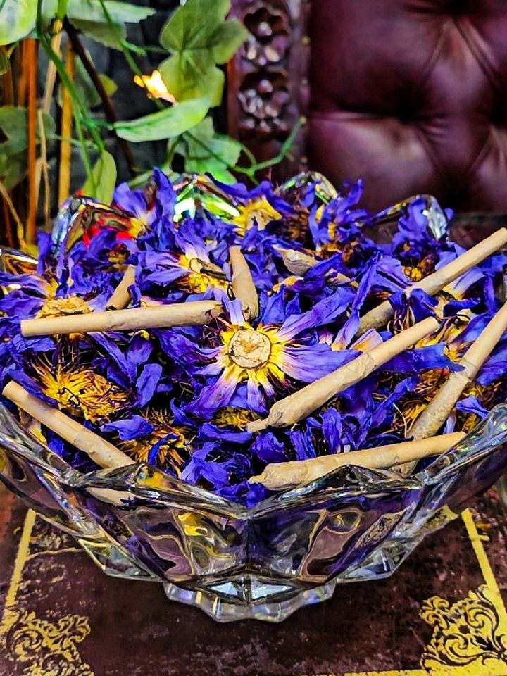 The Armored Kingdom Natural Blue Lotus Flower Pre Rolls (10 in a Pack) product image (1)