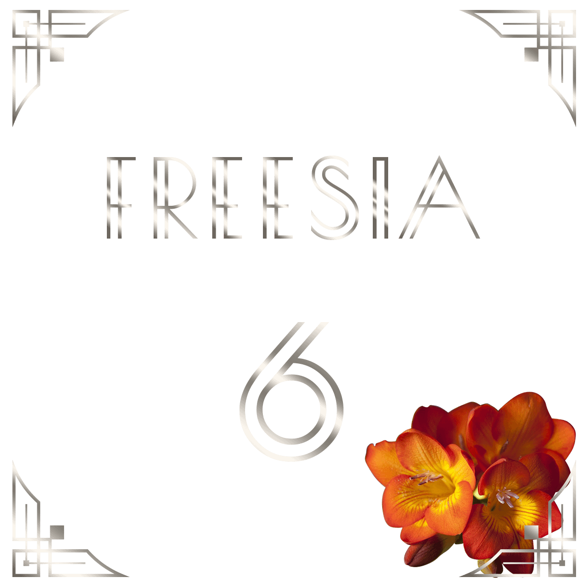 Conception de bâches / panneaux sur mesure product image (5)