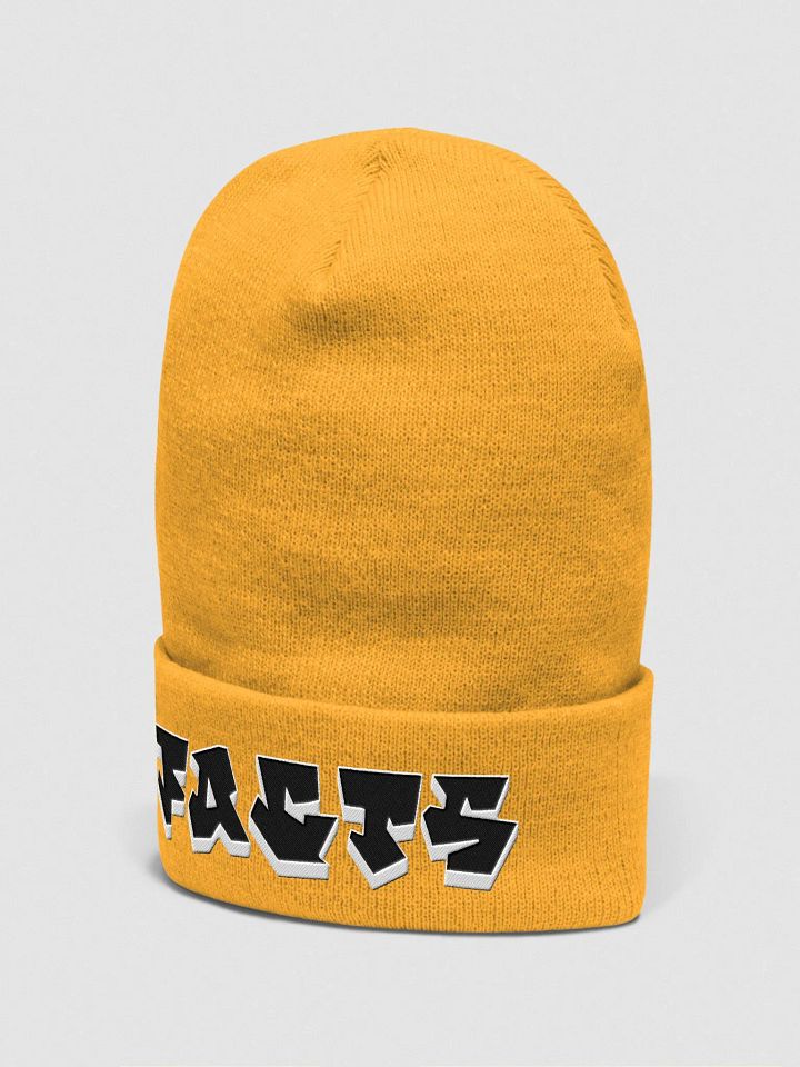 FACTS, Graffiti, Beanie product image (2)