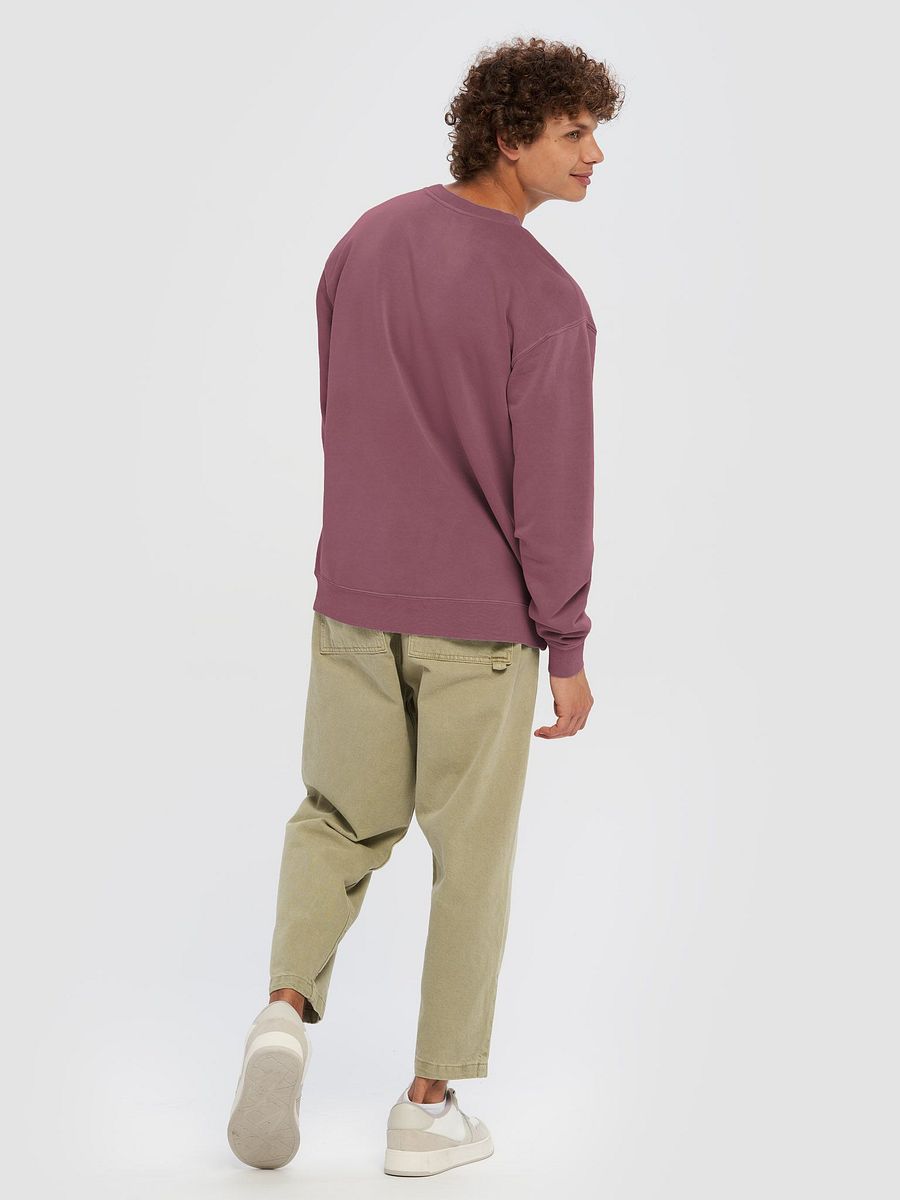 Retro Grid Unisex Pigment Dyed Sweatshirt product image (4)