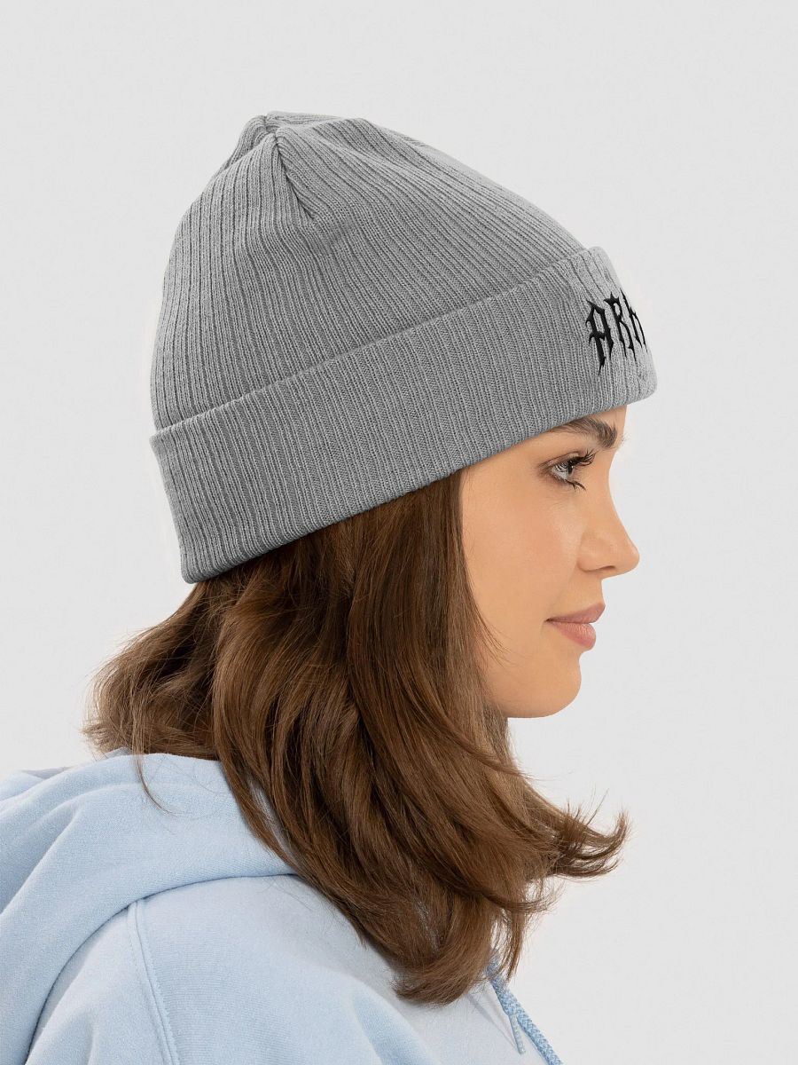 Arkaarya - Grey Beanie product image (8)
