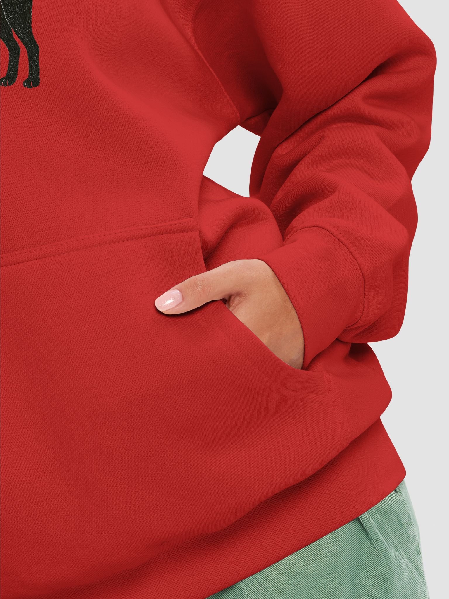 Mystic Feline Spirit Hoodie product image (16)