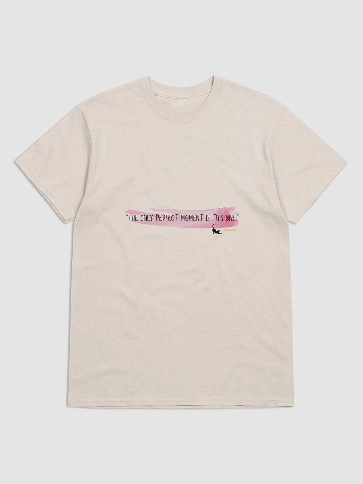 Perfect Moment Vibes T-Shirt product image (26)