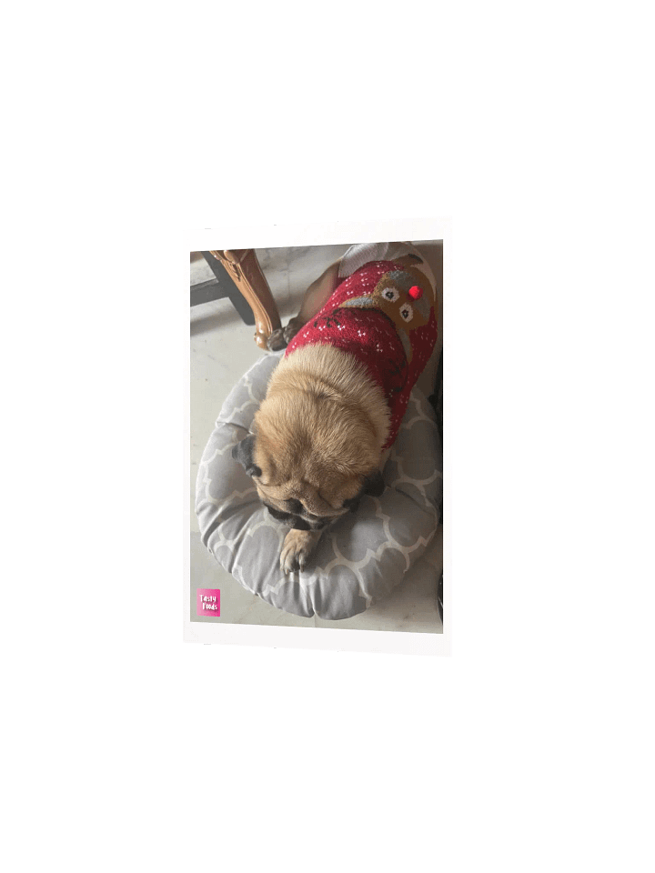 Pug Poster product image (2)