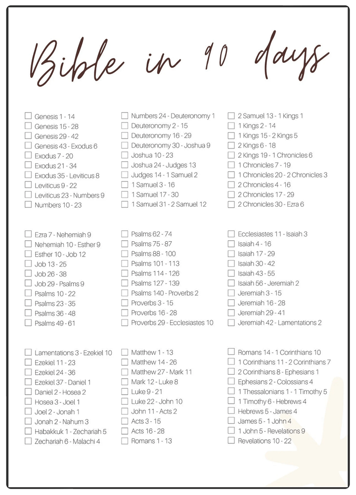 Bible in 90 Days product image (1)