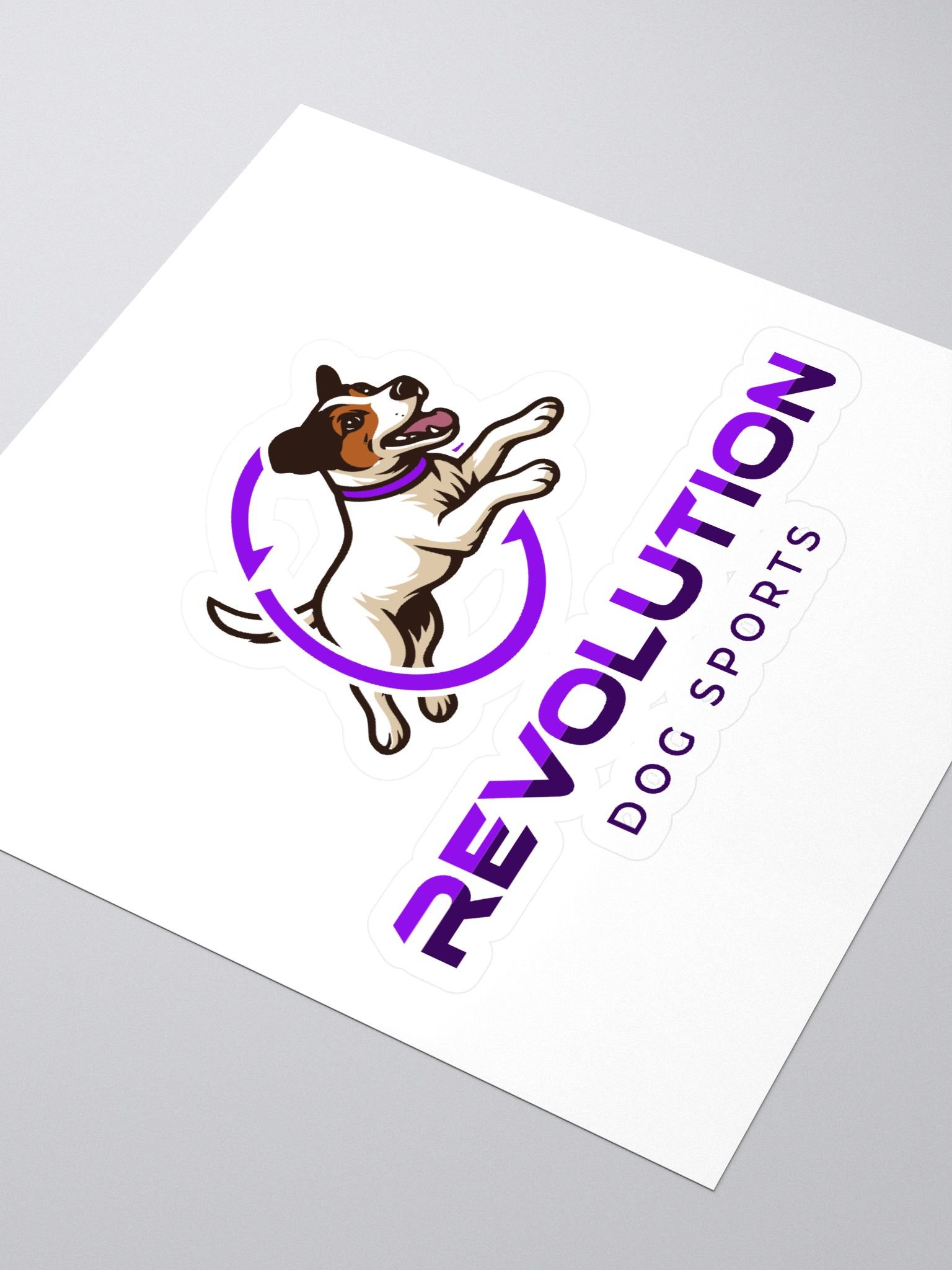 RDS Logo Sticker product image (3)