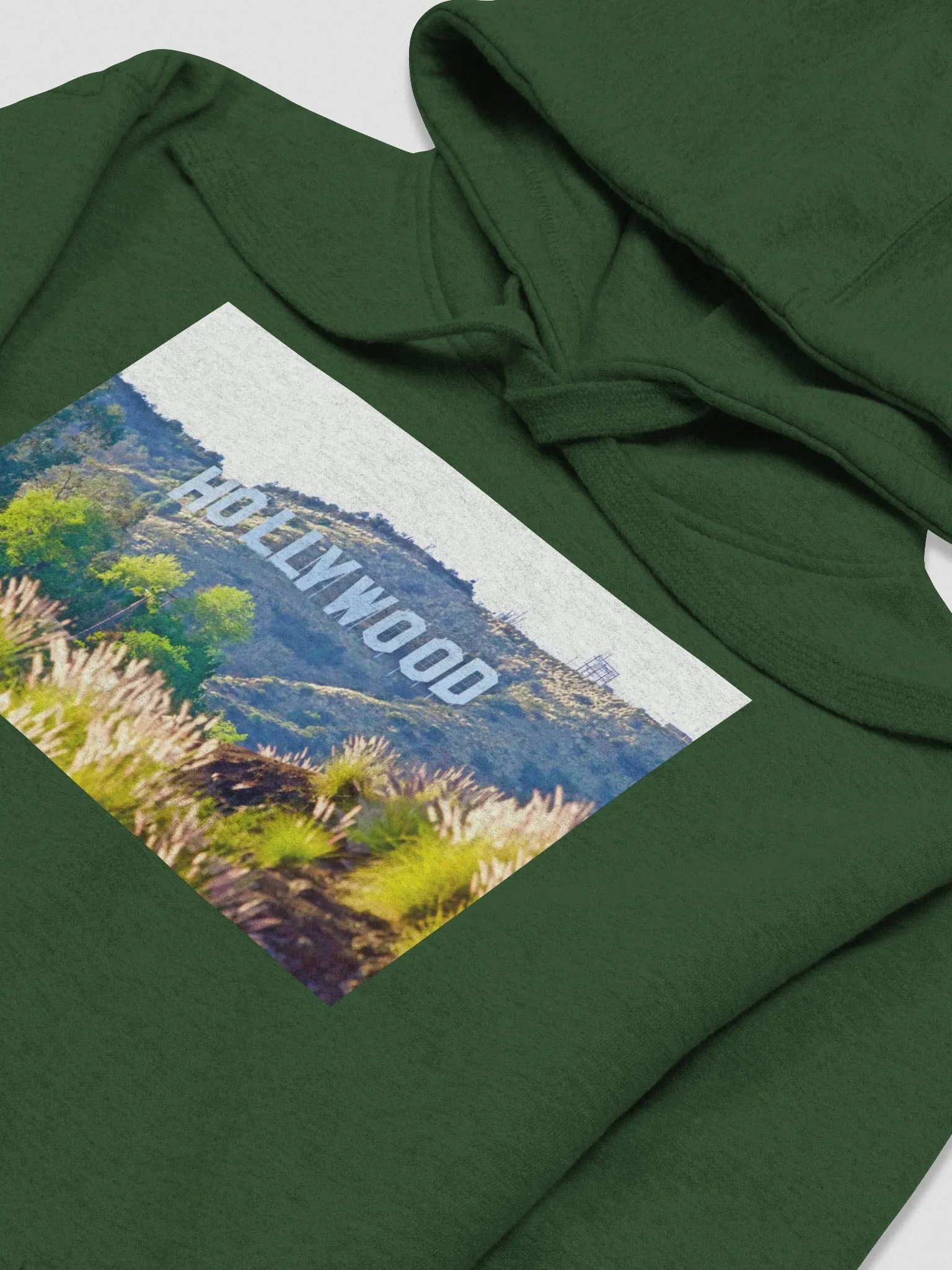 HOLLYWOOD SIGN HOODIE product image (5)