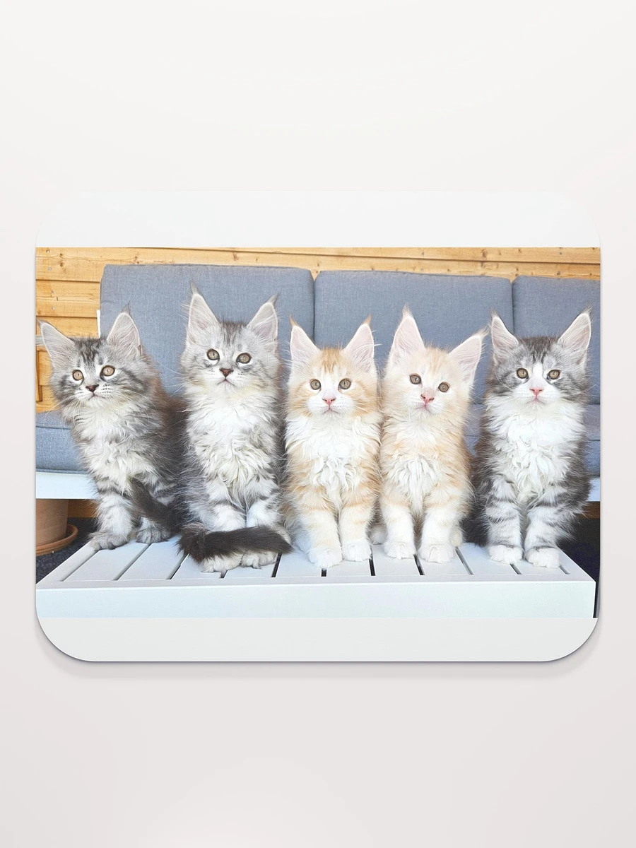 Maine Coon Kittens Mouse Pad product image (2)
