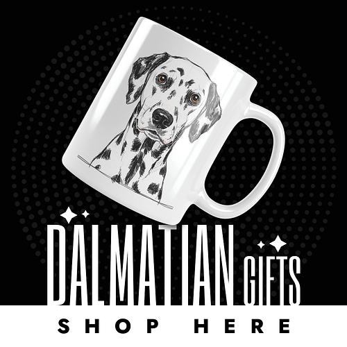 DALMATIAN DOG