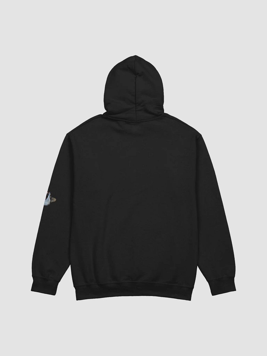 Send Knoodles Hoodie product image (2)