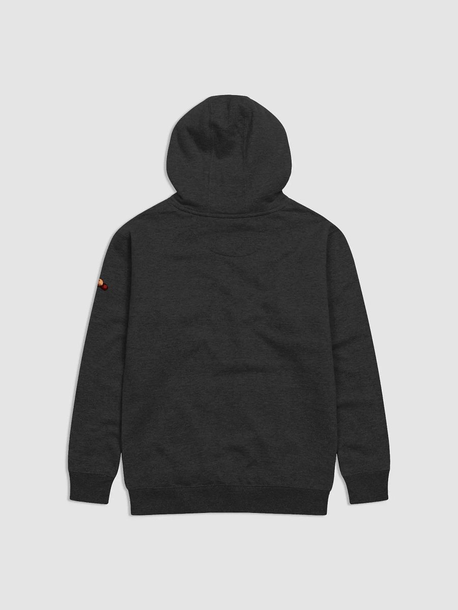 Fort TaliKappa Hoodie product image (2)