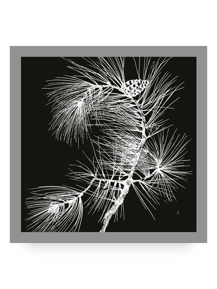 Visionary Canvas Collection - Pine Branch Dark product image (90)