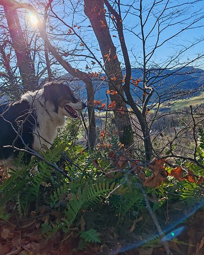 Generalka za soboto. 😉 Se vidimo na Vodnarju!