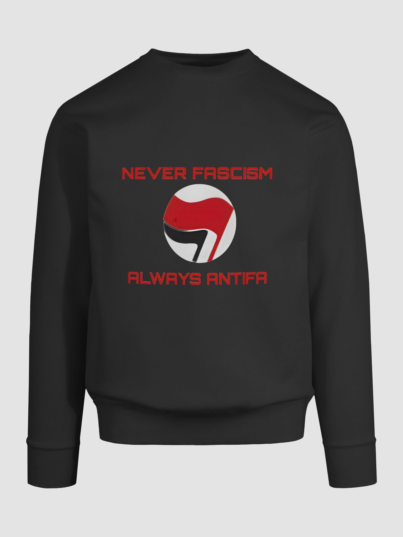 Never Fascism Statement Sweatshirt product image (49)
