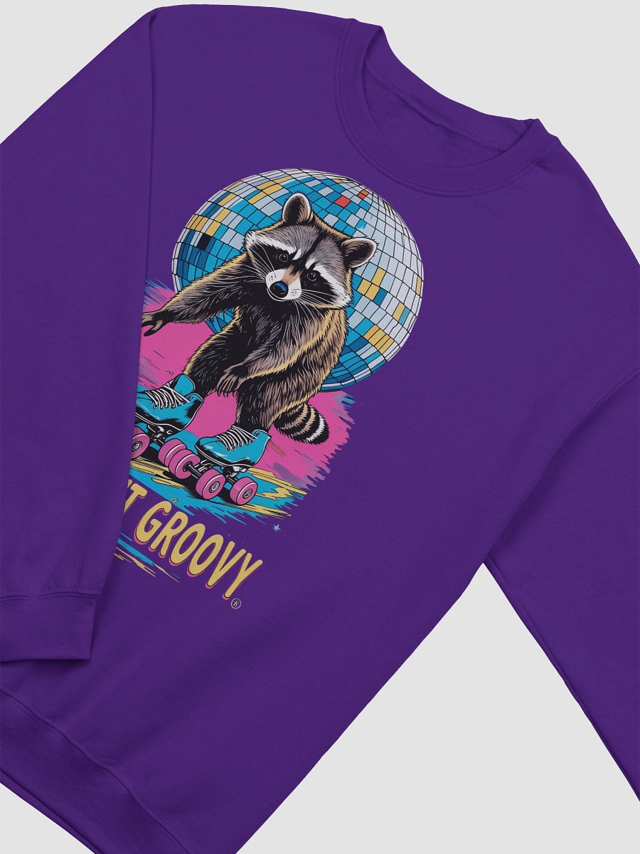 Feral but Groovy Raccoon Sweatshirt product image (3)