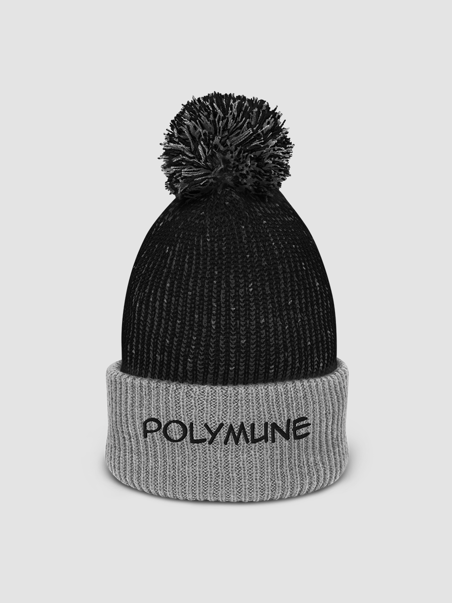 [Polymune] Speckled Pom-Pom Beanie - Sportsman SP70 product image (1)