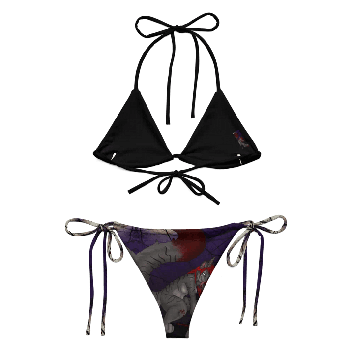 Demon Tiger All-Over Print Bikini Set product image (2)