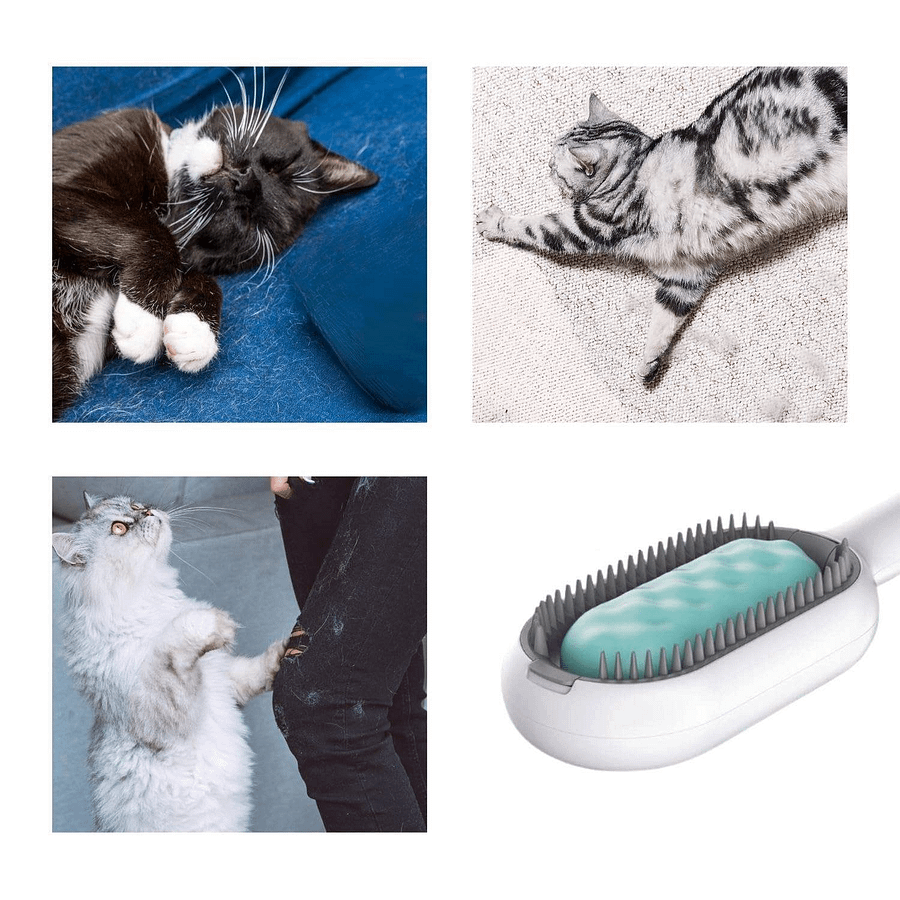 Cat Dog Hair Brush With Water Sticky Brush For Cats, 3 In-1 Cat Grooming Brush Creative Update Cat Dog Grooming Comb With Water Tank product image (4)