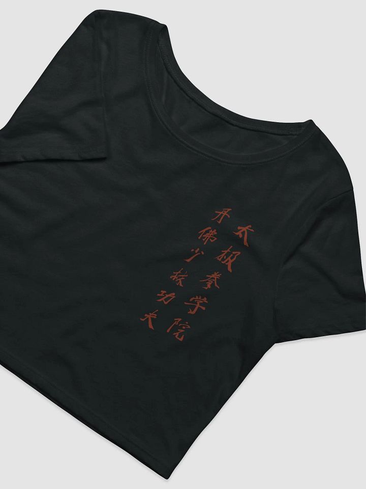 DSTJI Ladies Crop Top product image (2)