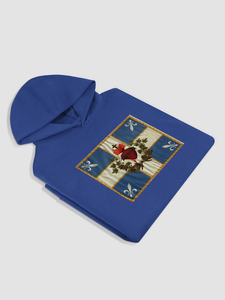 Rose Sword Unisex Oversized Hoodie product image (3)