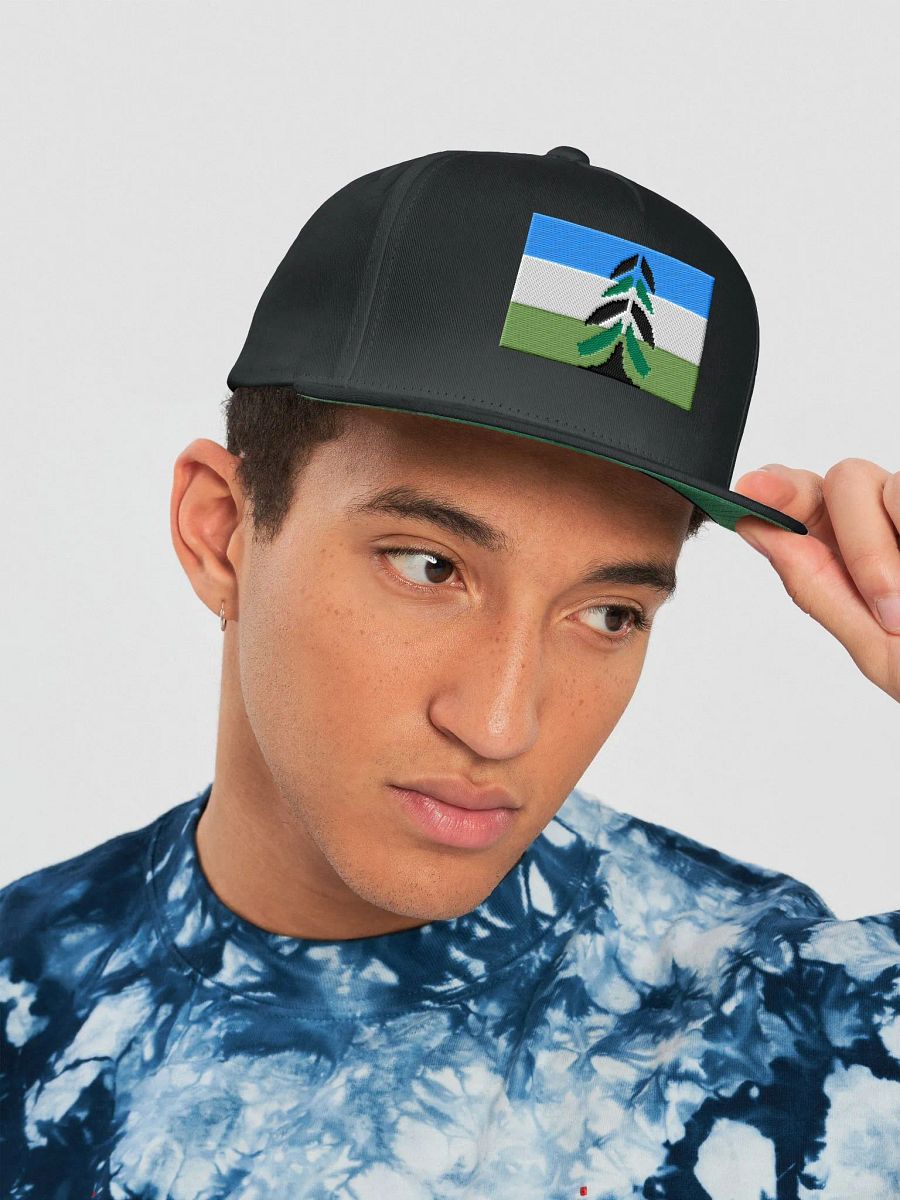 Pixel Chevron Cascadia Snapback Cap product image (23)