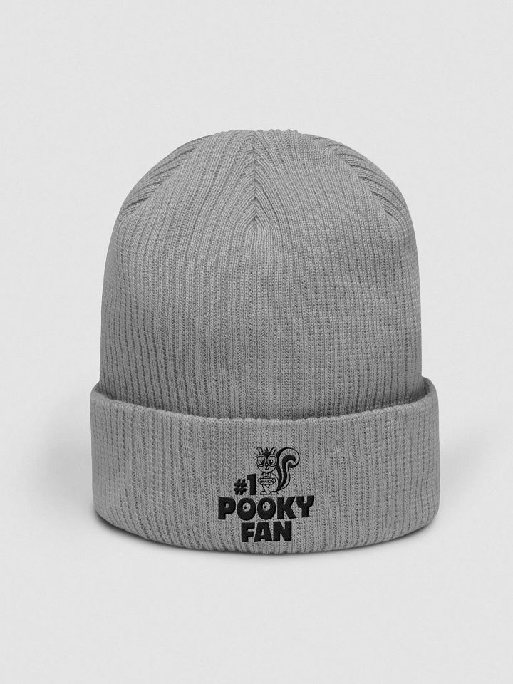 Organic Cotton Embroidered Beanie: Pooky Fan product image (1)