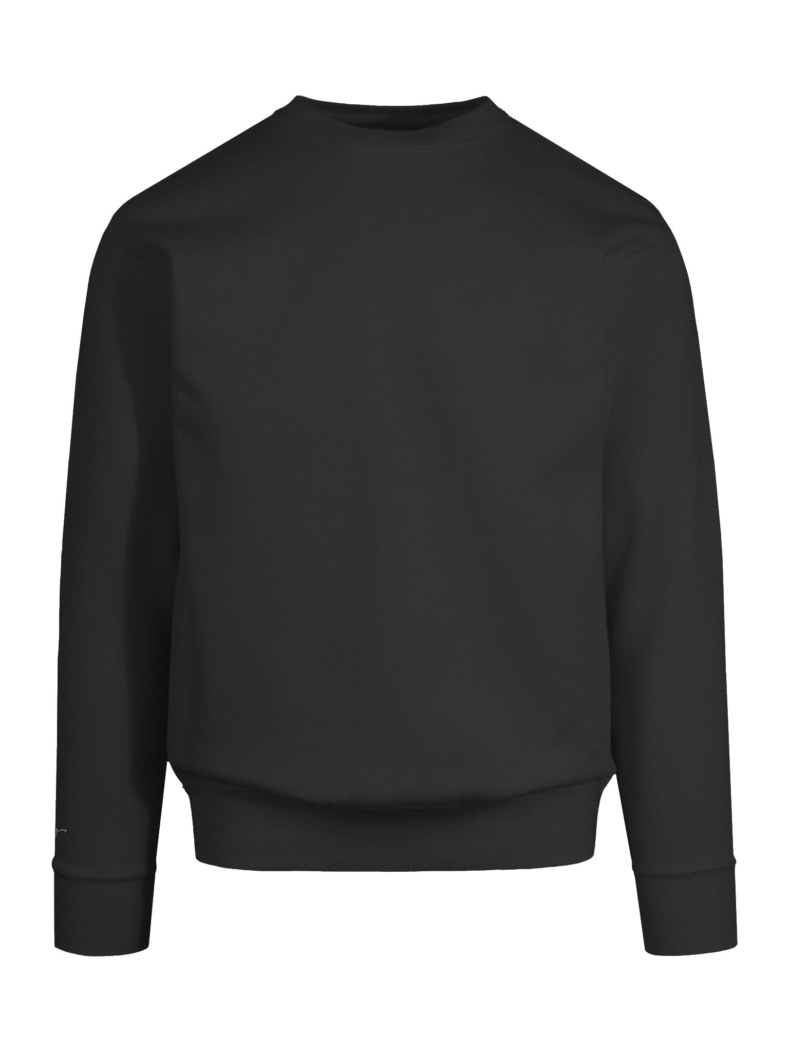 Simple Logo Crew Neck Sweatshirt product image (10)